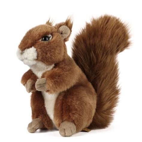 squirrel soft toy online india